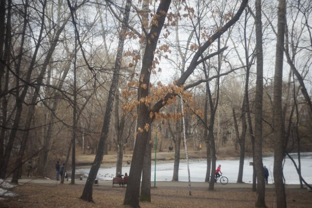 有建筑物、树木、灌木和人行道的景观。图片下载