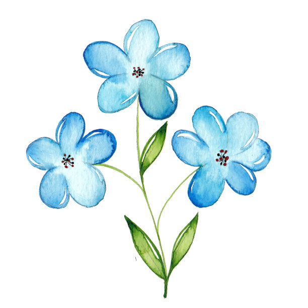 蓝色水彩花枝图片下载