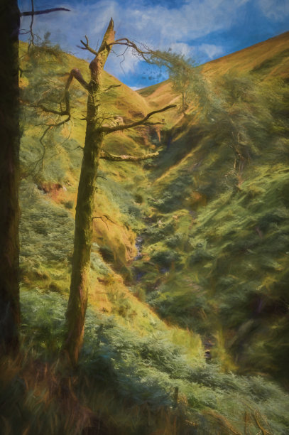 一幅受损松树的数码画与山顶区的一个小瀑布形成了框架。图片下载