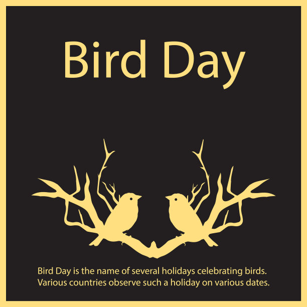 鸟的一天图片下载