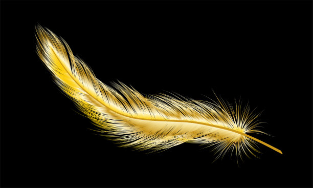 金色羽毛孤立在黑色。图片下载