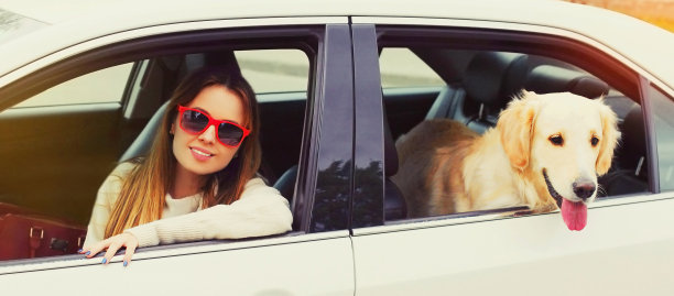 快乐的女司机和年轻的金毛猎犬坐在车里看着窗外图片下载