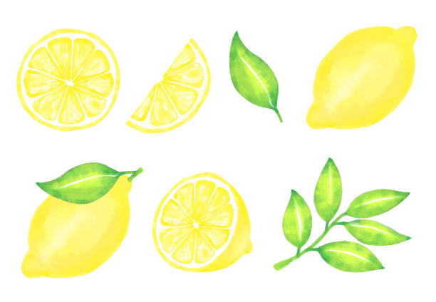 矢量背景柠檬和树叶在水彩横幅，卡片，传单，社交媒体壁纸等。图片下载
