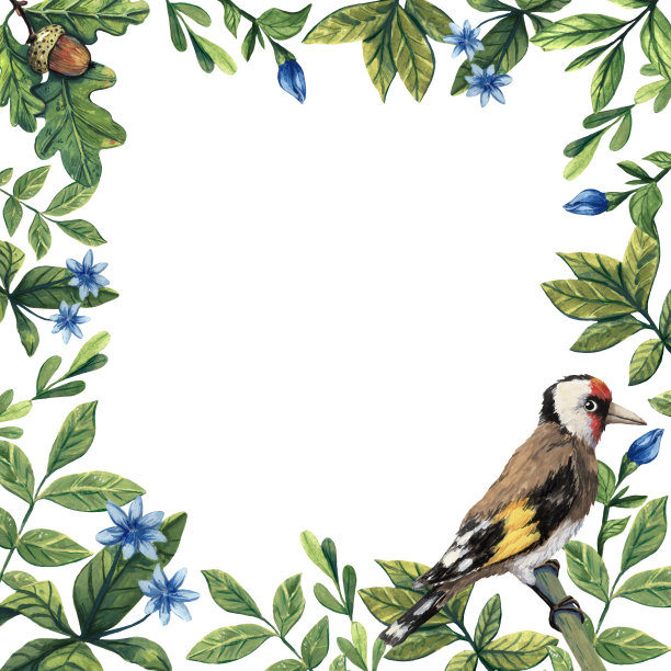 可爱的雀插图。广场的框架。鸟的艺术。卡通风格。水粉颜料绘画。金翅雀的肖像。冬天的装饰。邀请框架。节日问候。Ornitology艺术。Birdwatchig爱好。图片下载