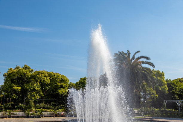 喷泉:花园里喷出高水位的喷泉图片下载