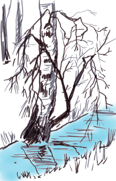 桦树过一泉流，彩图绘。图片下载