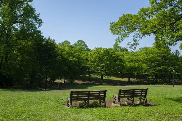 公园的长椅上图片下载