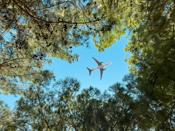 飞机在森林上空飞行，俯视图片下载