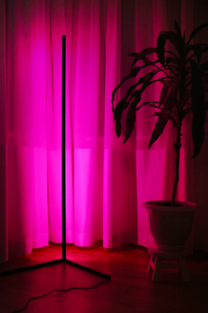 靠近花的粉红色霓虹灯。时尚的风格。图片下载