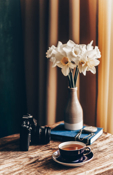 水仙花复古构图。图片下载