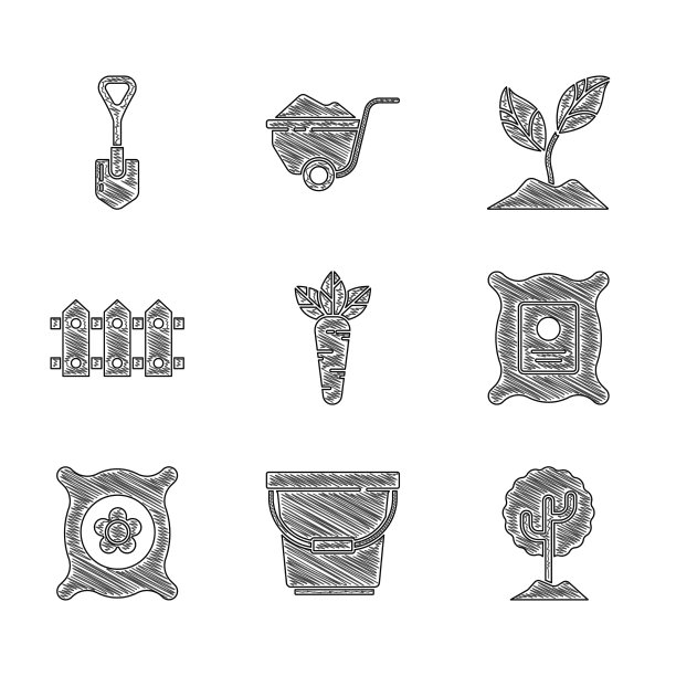 设胡萝卜桶，树装满种子图片下载