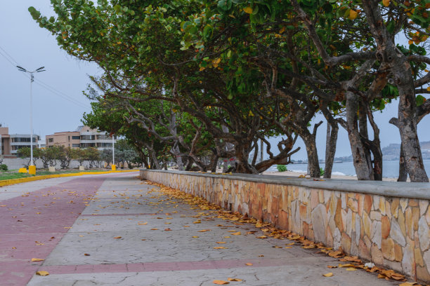 照片上是一条有鹅卵石痕迹的混凝土小路，在寒冷的日子里，尽头是灰色的，中间是红色的图片下载