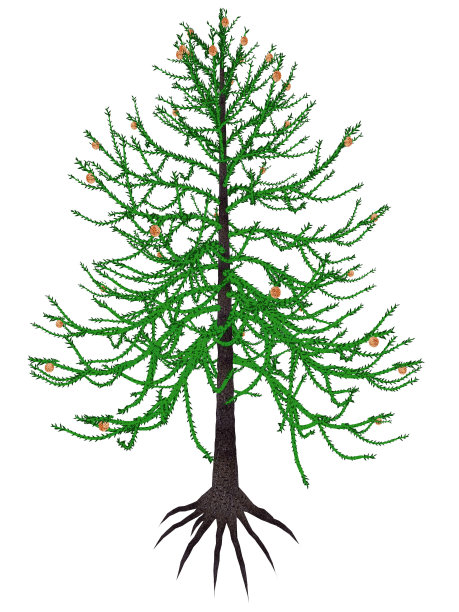 阿劳卡亚史前树- 3D渲染图片下载