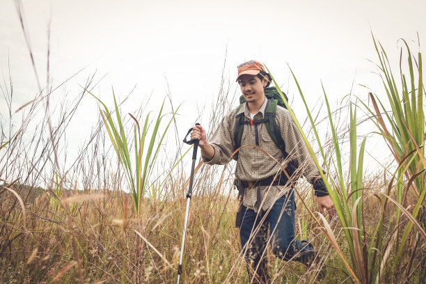年轻人背着双肩包，徒步极地，在森林里探险，探险旅行的生活方式图片下载