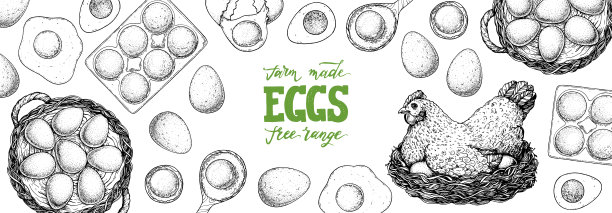 鸡蛋草图。母鸡坐在窝里。手绘插图。农场鸡蛋设计模板。矢量插图。健康食品。包装设计元素。图片下载