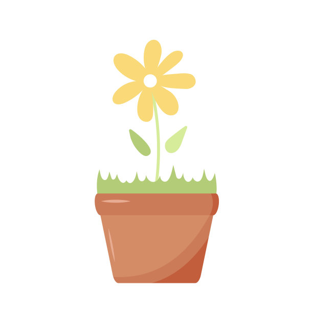 一盆甘菊，一盆家常花。图片下载