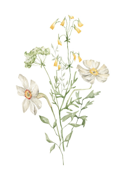 水彩花卉花束图片下载