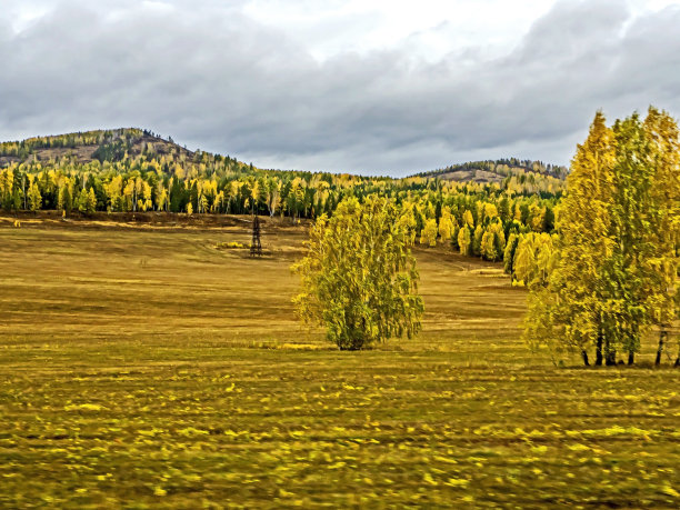 乌拉尔南部美丽的金秋图片下载
