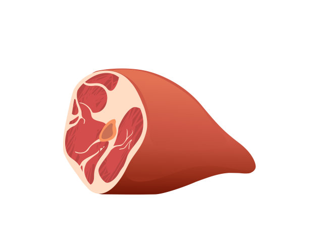 大新鲜生火腿块矢量插图在白色背景图片下载