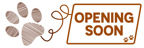 即将开业宠物爪子方盒生产线图片下载