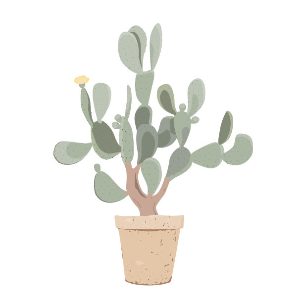 盆栽仙人掌。老仙人掌树与水果，和花在花盆。矢量插图孤立在白色图片下载