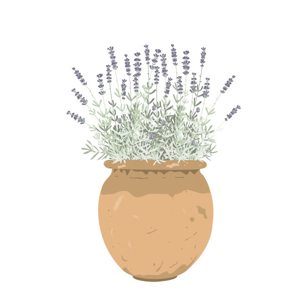 薰衣草草在一个旧的时髦的花盆，孤立的矢量插图。家居花园和装饰设计元素。治疗和化妆品盆栽药草。药用植物花园。图标的自然和有机产品。图片下载