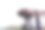2022.5.1泰国曼谷:许多人在暹罗公园城玩悬挂式翻转过山车TOREX。图片下载