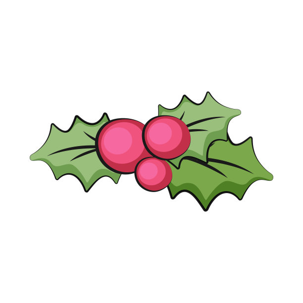 槲寄生代表圣诞快乐图片下载