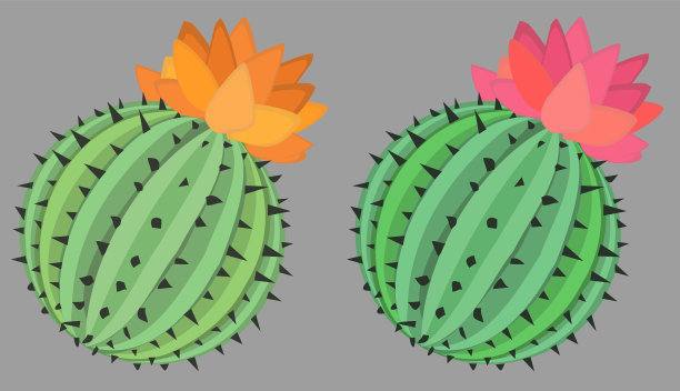 仙人掌植物球卡通图片下载