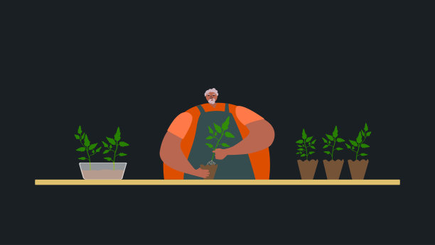 老年男子移植番茄幼苗，种植植物，农场，花园和工作在黑暗的背景。微笑老人的性格。老龄化和家庭的概念图片下载