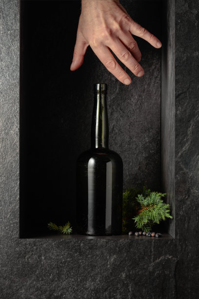 伸手去拿一瓶老式杜松子酒。图片下载