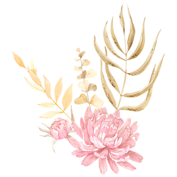 色彩柔和的热带树叶和花朵组成图片下载