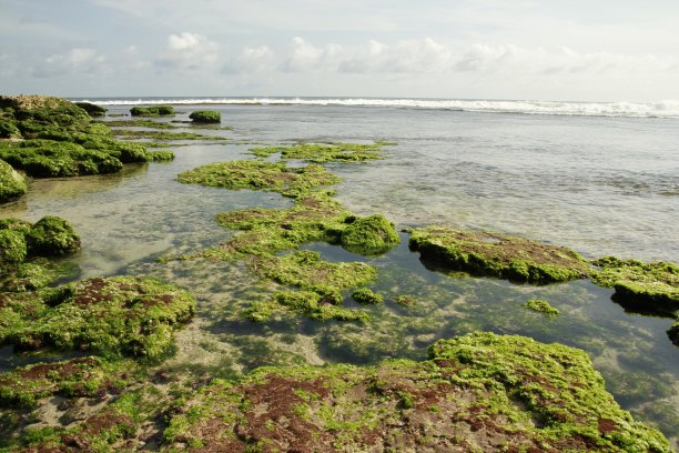 海滩上的薄波浪在地平线和前景珊瑚礁图片下载