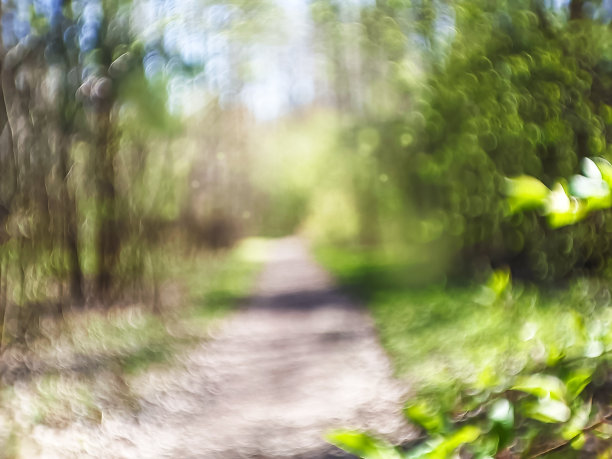 自然的夏天模糊了阳光的背景与绿叶和森林的道路图片下载