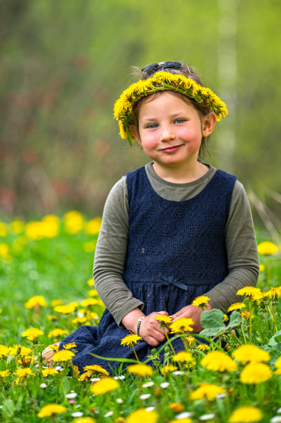 草地上一个带着花冠微笑的女孩的肖像。图片下载