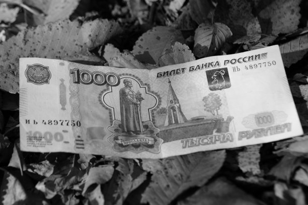 俄罗斯卢布在秋叶的背景上。图片下载