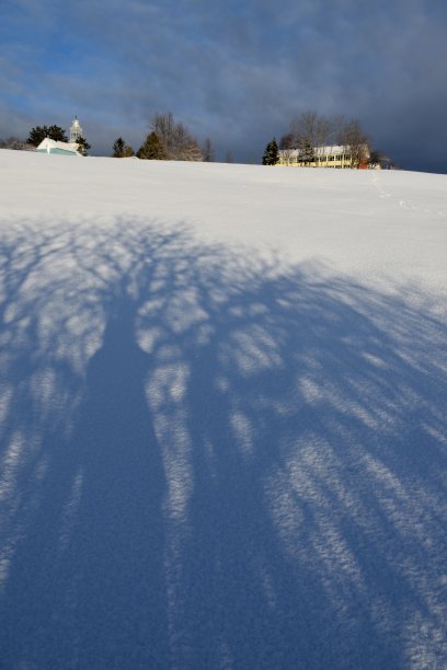 春天的早晨图片下载