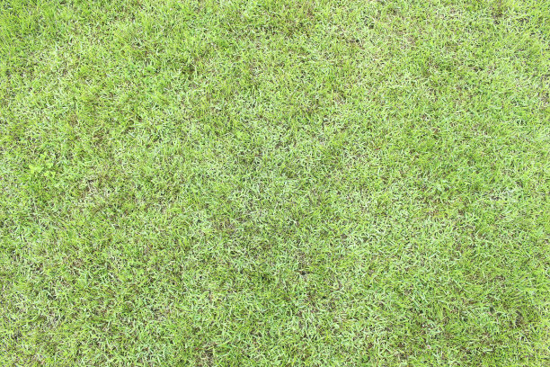 美丽的草地背景图片下载