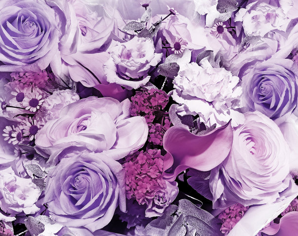 花紫色的复古背景。特写镜头。大自然。图片下载