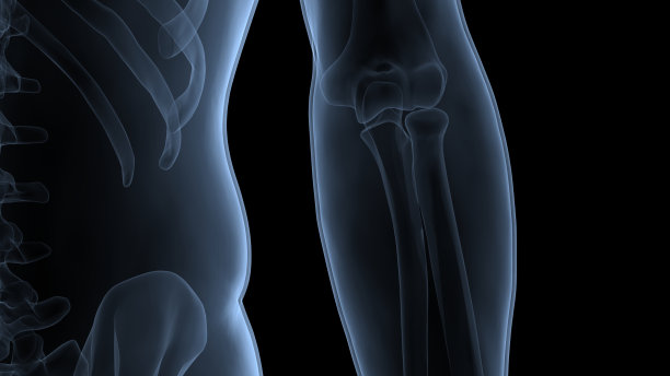 人体骨骼系统骨骼关节解剖学图片下载