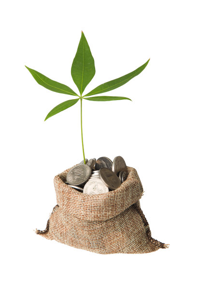 植物生长在储蓄硬币图片下载