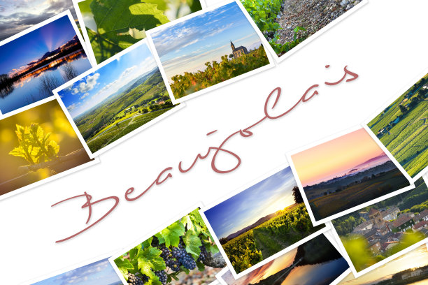 一堆博若莱的旅行照片，白色背景图片下载