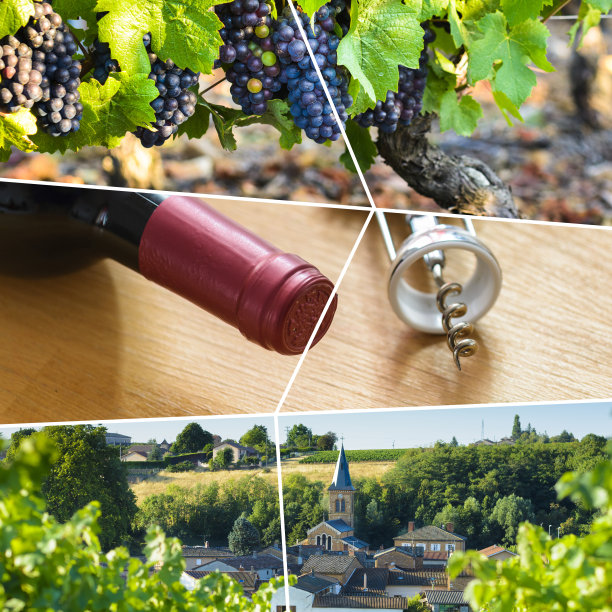 博若莱矩形旅行照片拼贴图片下载