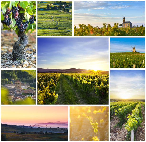 博若莱矩形旅行照片拼贴图片下载