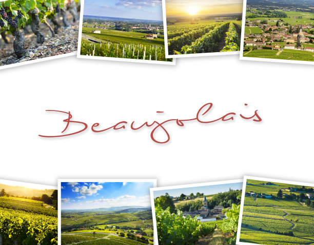 一堆博若莱的旅行照片，白色背景图片下载