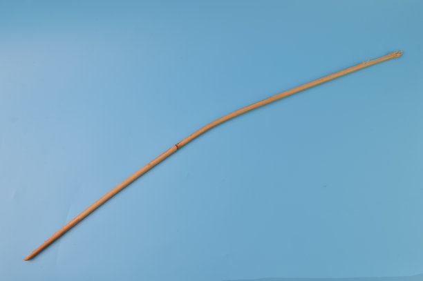 蓝色背景上孤立的藤条图片下载