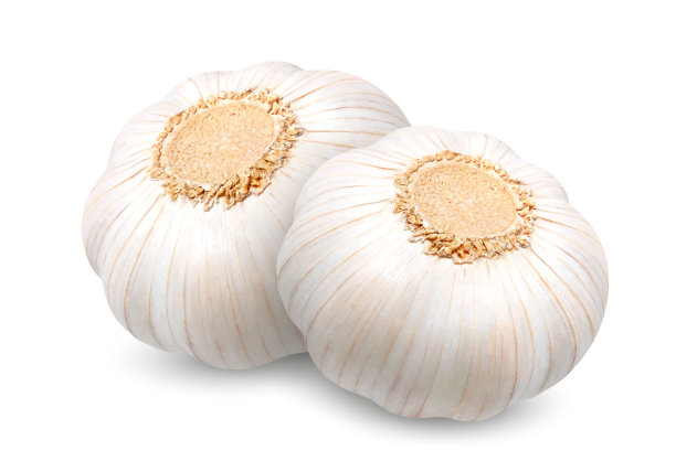 大蒜头与丁香现实3d图片下载