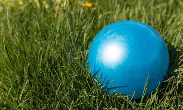 绿色草地上的蓝色球图片下载
