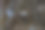 华丽的结婚戒指坐在削减树枝树桩图片下载