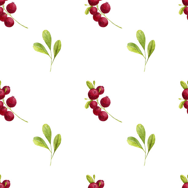水彩无缝蔓越莓图案图片下载